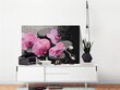 Tee ise - maal lõuendil - Orhidee Zen kividega (Mustal taustal) 60x40 cm hind ja info | Maalid numbri järgi | kaup24.ee