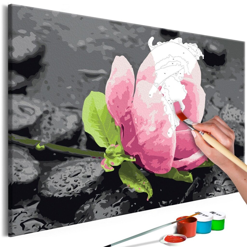 Tee ise - maal lõuendil - Roosa lill ja kivid 60x40 cm цена и информация | Maalid numbri järgi | kaup24.ee