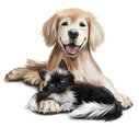 Наклейка для детского интерьера Собака и кошка