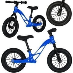 Tasakaaluratas Trike Fix Active x1, 12" kaina ir informacija | Jooksurattad | kaup24.ee