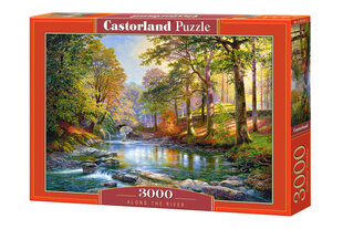 Пазл Castorland Puzzle Цветная река 3000 дет. цена и информация | Пазлы | kaup24.ee