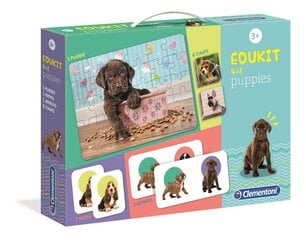 Arendavate mängude komplekt Clementoni Edukit 4in1 - Puppies, 18071 hind ja info | Lauamängud ja mõistatused | kaup24.ee