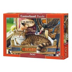 Пазл Castorland Кот 500 дет. цена и информация | Пазлы | kaup24.ee