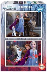 Головоломка Frozen, 2 шт. x 100 частей цена и информация | Пазлы | kaup24.ee