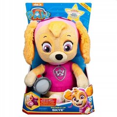 Paw Patrol Snuggle Up Skye 29 cm цена и информация | Мягкие игрушки | kaup24.ee