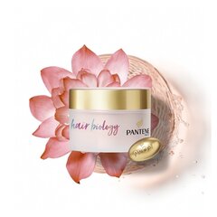 Mask kahjustatud juustele PANTENE BIOLOGY Full &amp; Vibrant 160 ml hind ja info | Maskid, õlid, seerumid | kaup24.ee