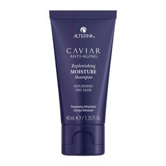 Alterna Caviar Replenishing niisutav šampoon, 40 ml hind ja info | Šampoonid | kaup24.ee