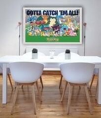 Pokemons Catch Them All – plakat 91,5x61 cm hind ja info | Seinapildid | kaup24.ee