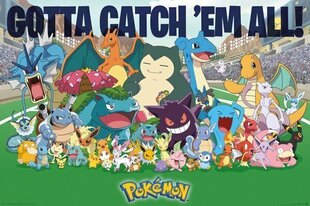 Pokemons Catch Them All – plakat 91,5x61 cm hind ja info | Seinapildid | kaup24.ee