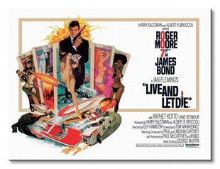 James Bond (Live And let Die) – lõuendimaal 40x30 cm hind ja info | Seinapildid | kaup24.ee