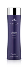 Šampoon kuivadele juustele Alterna Caviar Replenishing Moisture, 250 ml hind ja info | Šampoonid | kaup24.ee