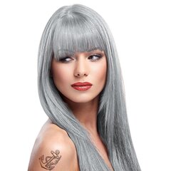 Poolpüsiv juuksevärv La Riche Directions Colour 88 ml, Silver hind ja info | Juuksevärvid | kaup24.ee