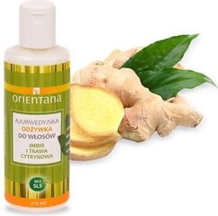 Кондиционер для волос Orientana Ginger and Lemongrass, 210 мл цена и информация | Бальзамы, кондиционеры | kaup24.ee