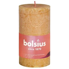 Bolsius sammasküünlad Shine 8 tk 100x50 mm meekollane цена и информация | Подсвечники, свечи | kaup24.ee