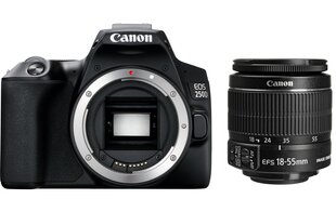 Canon EOS 250D + EF-S 18–55 мм IS II цена и информация | Фотоаппараты | kaup24.ee