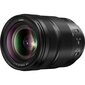 Panasonic Lumix DC-S5 II + LUMIX S 24-105mm F4 hind ja info | Fotoaparaadid | kaup24.ee