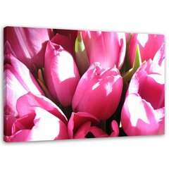 Seinapilt, Roosade tulpide kimp цена и информация | Картины, живопись | kaup24.ee