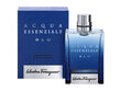 Salvatore Ferragamo Acqua Blu essenziale Pour Homme EDT 50ml цена и информация | Meeste parfüümid | kaup24.ee