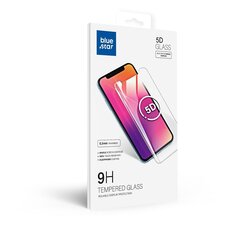 Blue Star 5D защитное стекло для экрана Samsung G970 Galaxy S10e черное цена и информация | Защитные пленки для телефонов | kaup24.ee