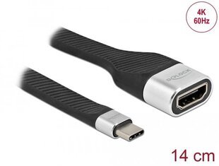 Delock FPC lame lindikaabel USB-tüüpi C-HD-HDMI (DP Alt režiim) 4K 60 Hz 14 cm цена и информация | Адаптеры и USB-hub | kaup24.ee