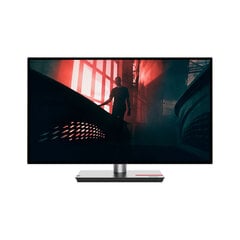 Монитор Lenovo THINKVISION P27Q-30 27" LED 2560 x 1440 px цена и информация | Мониторы | kaup24.ee