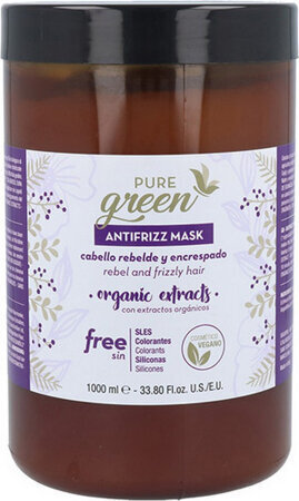 Juuksemask Pure Green Antifrizz цена и информация | Maskid, õlid, seerumid | kaup24.ee