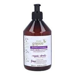 Silendav juuksešampoon Pure Green Antifrizz Shampoo, 500 ml hind ja info | Šampoonid | kaup24.ee