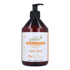 Juuksešampoon Pure Green Antioxidant Shampoo, 500 ml hind ja info | Šampoonid | kaup24.ee