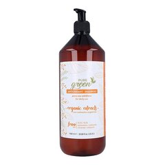 Juuksešampoon Pure Green Antioxidant Shampoo, 1000 ml hind ja info | Šampoonid | kaup24.ee