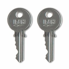 Замок с ключом IFAM K30AL Латунь Длинный (3 cm) цена и информация | Дверные замки | kaup24.ee