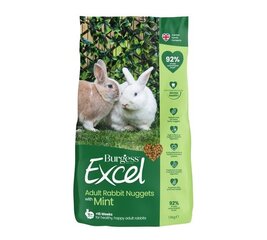 Дополнительный корм для взрослых кроли ков Burgess Excel цена и информация | Корм для грызунов | kaup24.ee