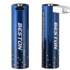 Rechargeable 18650 Battery with USB-C Port, 3.7V, 2000mAh, Li-Ion цена и информация | Зарядные устройства для элементов питания | kaup24.ee