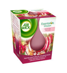 Lõhnaküünal AirWick Mountain Berry Blossom, 105 g hind ja info | Küünlad, küünlajalad | kaup24.ee