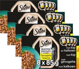 Sheba Selection Drobiowe Smaki kana-, kalkuni- ja linnulihaga, 32x85 g hind ja info | Konservid kassidele | kaup24.ee