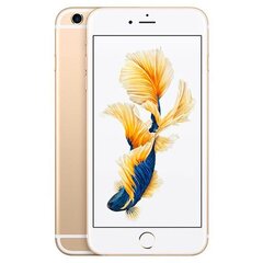 Apple iPhone 6 Plus 128GB (Класс A (Очень хорошее состояние, использованный)) цена и информация | Мобильные телефоны | kaup24.ee