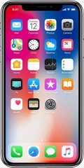 Apple iPhone X 64GB (Klass A (Väga hea)) hind ja info | Telefonid | kaup24.ee