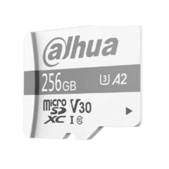 Жесткий диск DAHUA TECHNOLOGY P100 256 Гб SSD цена и информация | Карты памяти | kaup24.ee