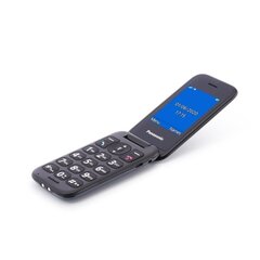 Panasonic KX-TU400EXG цена и информация | Мобильные телефоны | kaup24.ee