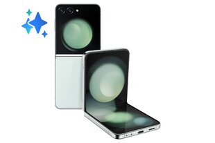 Samsung Galaxy Flip5 8/256GB Mint SM-F731BLGGEUE цена и информация | Мобильные телефоны | kaup24.ee