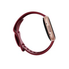 Fitbit Versa 4 NFC Beet Juice/Copper Rose FB523RGRD цена и информация | Смарт-часы (smartwatch) | kaup24.ee