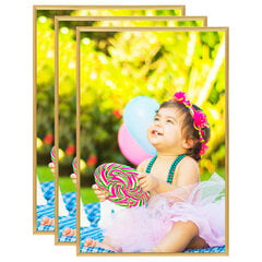 332130 Photo Frames Collage 3 pcs for Table Gold 21x29,7cm MDF hind ja info | Pildiraamid | kaup24.ee