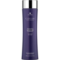 Palsam kuivadele juustele Alterna Caviar, 250ml hind ja info | Juuksepalsamid | kaup24.ee