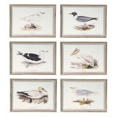 Картина DKD Home Decor, птицы (70 x 2,5 x 50 cm) (6 шт.) цена и информация | Картины, живопись | kaup24.ee