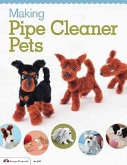 Making Pipe Cleaner Pets цена и информация | Книги о питании и здоровом образе жизни | kaup24.ee