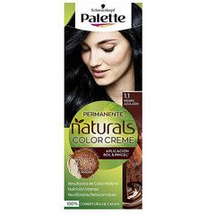 Juuksevärv Schwarzkopf palett naturals color creme 1 1 sinakasmust hind ja info | Juuksevärvid | kaup24.ee