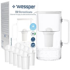 Кувшин Wessper AquaClassic D2 мята + 10 фильтра Wessper AquaClassic в комплекте цена и информация | Фильтры для воды | kaup24.ee