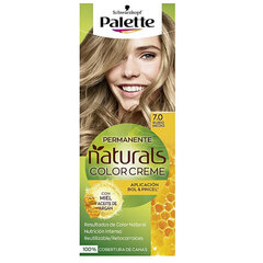 Püsivärv Palette Natural Schwarzkopf hind ja info | Juuksevärvid | kaup24.ee