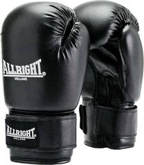 Боксерские перчатки Allright TRAINING PRO 14oz, черного цвета цена и информация | Боевые искусства | kaup24.ee