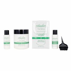 Profesionaalne Sirgenduskomplekt Naturalium Paul Gehring Plex &amp; Keratin System (5 pcs) цена и информация | Шампуни | kaup24.ee