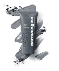 Näopuhastusvahend rasusele nahale Dermalogica Active Clay, 150 ml hind ja info | Näopuhastusvahendid | kaup24.ee